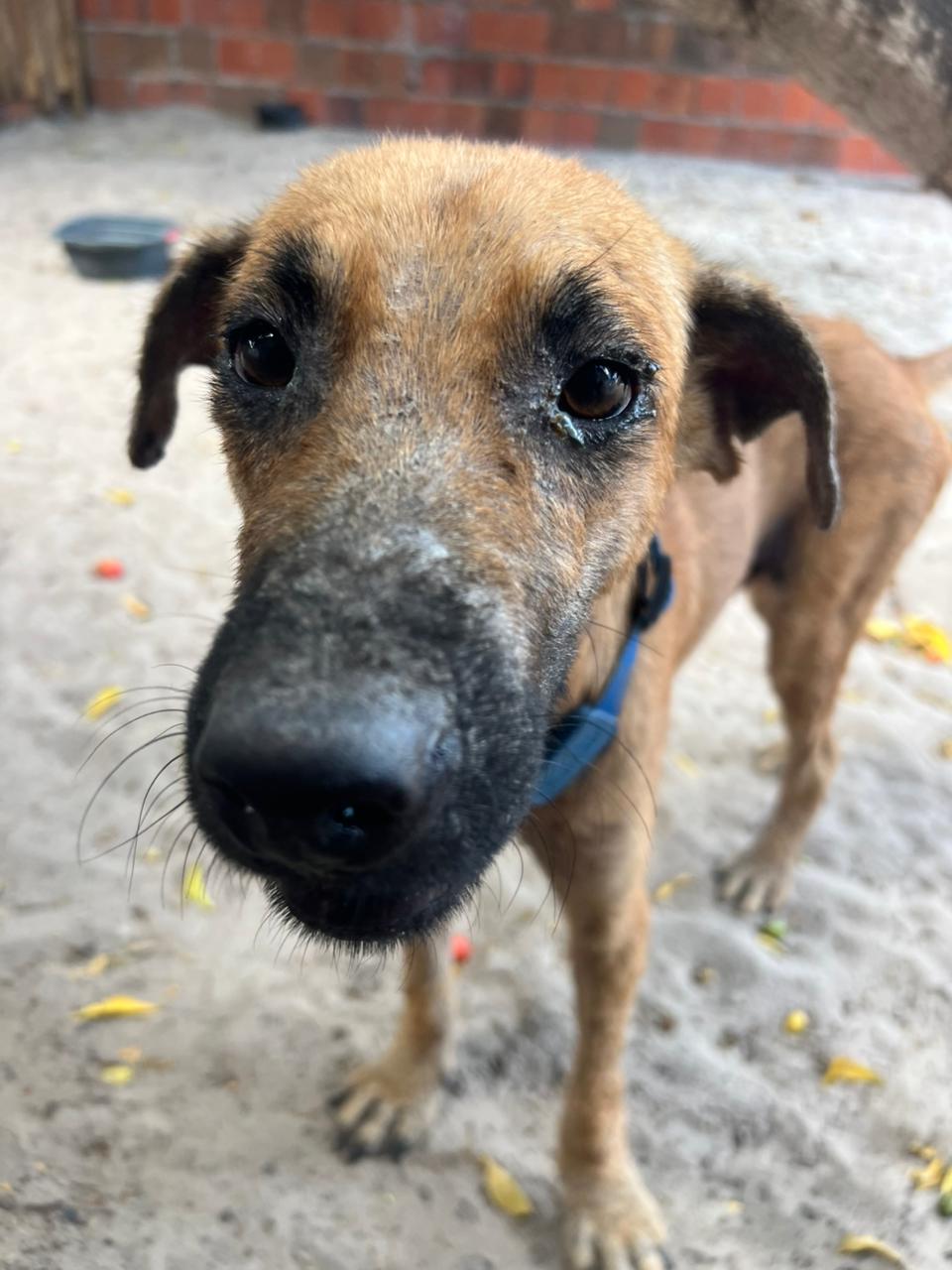 WhatsApp Image 2025-12-30 at 07.15.26