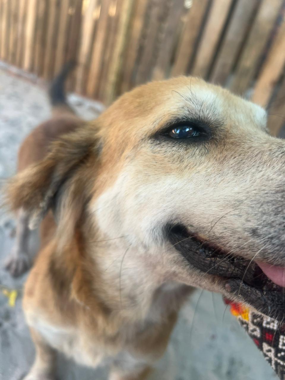 WhatsApp Image 2025-12-30 at 07.15.30