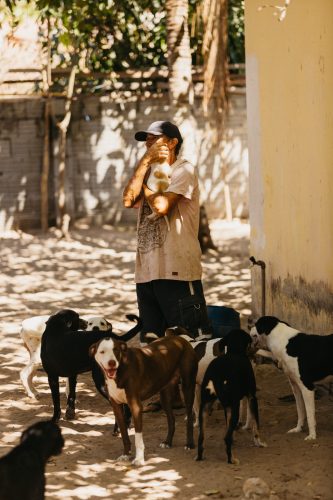 WhatsApp Image 2025-03-13 at 08.37.37