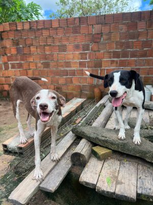 WhatsApp Image 2025-03-20 at 10.00.27 (1)