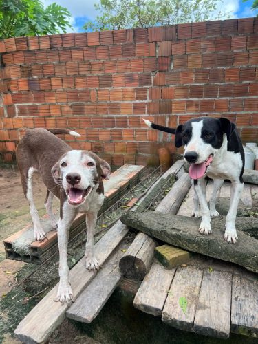 WhatsApp Image 2025-03-20 at 10.00.27 (1)