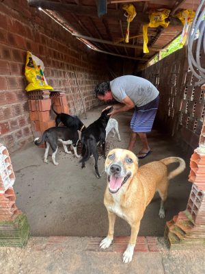 WhatsApp Image 2025-03-20 at 10.00.27