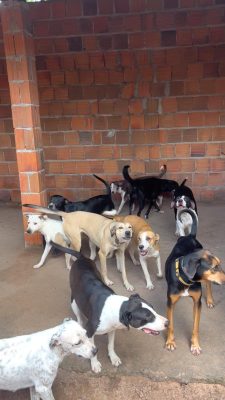 WhatsApp Image 2025-03-20 at 10.01.32