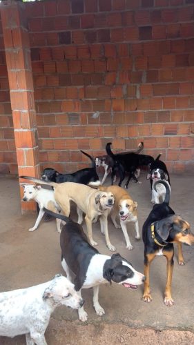 WhatsApp Image 2025-03-20 at 10.01.32