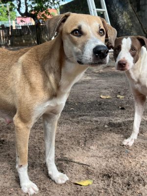 WhatsApp Image 2025-03-20 at 10.03.30