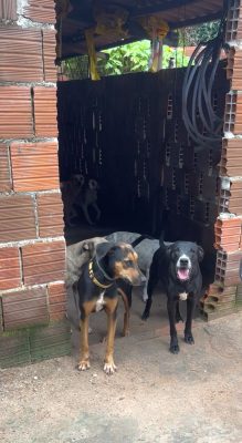 WhatsApp Image 2025-03-20 at 10.04.16