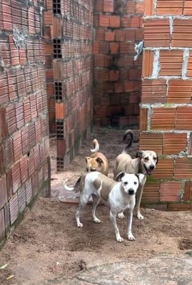 WhatsApp Image 2025-03-20 at 10.05.25