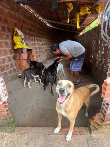 WhatsApp Image 2025-03-27 at 09.23.01