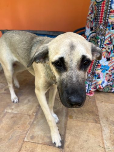 WhatsApp Image 2025-07-09 at 08.27.28 (1)