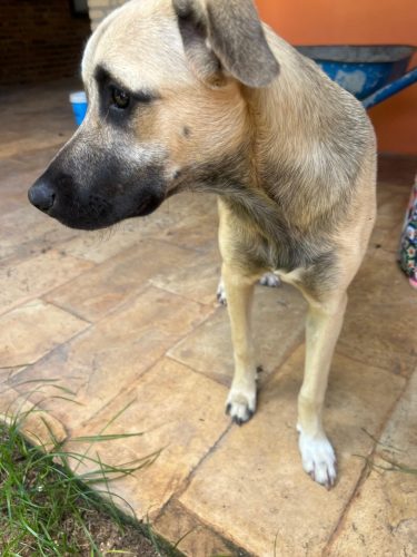 WhatsApp Image 2025-07-09 at 08.27.28 (2)