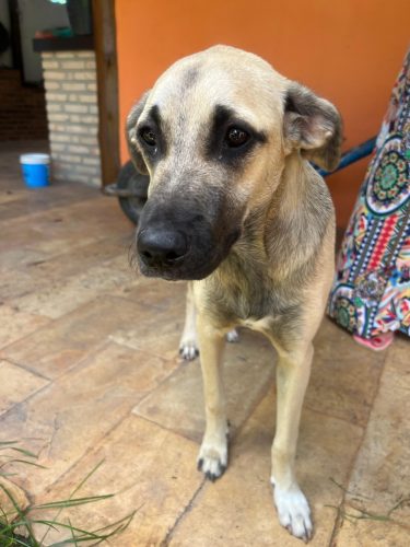 WhatsApp Image 2025-07-09 at 08.27.28 (3)