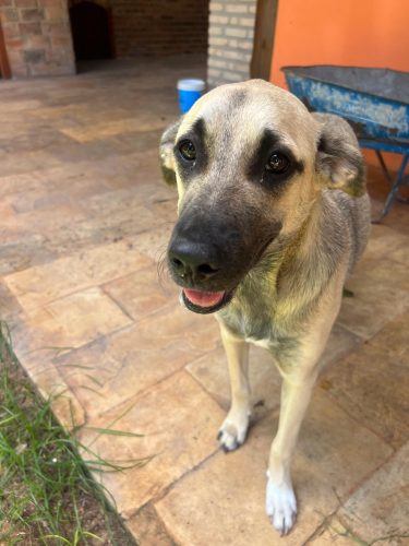 WhatsApp Image 2025-07-09 at 08.27.28 (4)