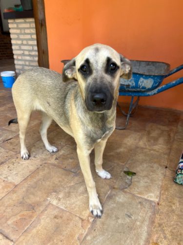 WhatsApp Image 2025-07-09 at 08.27.28