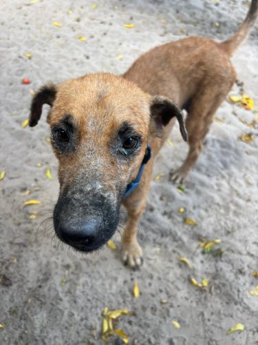 WhatsApp Image 2025-12-30 at 07.15.26 (1)