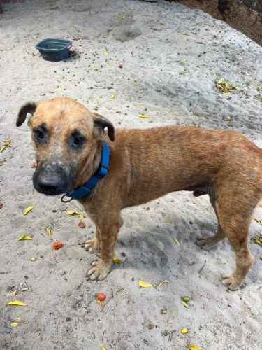 WhatsApp Image 2025-12-30 at 07.15.26 (2)