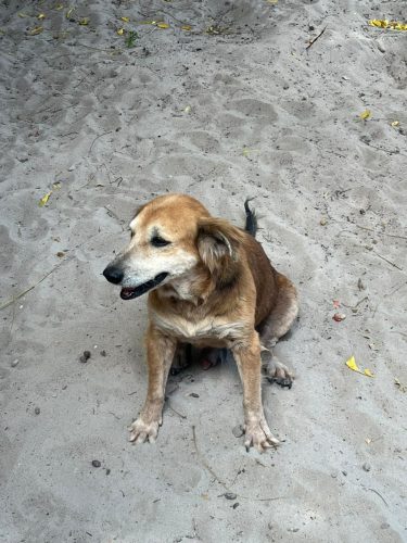 WhatsApp Image 2025-12-30 at 07.15.26 (3)