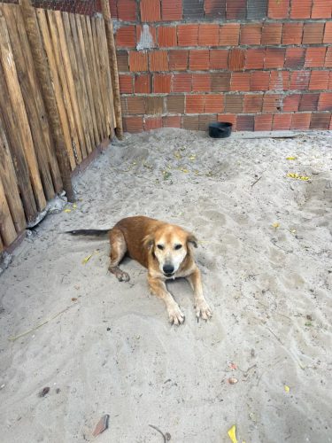 WhatsApp Image 2025-12-30 at 07.15.26 (4)