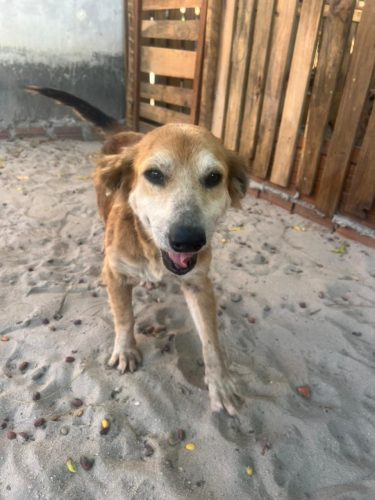 WhatsApp Image 2025-12-30 at 07.15.30 (1)